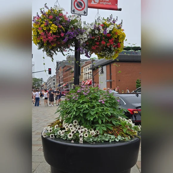 KINGSTON TRIP - Picture 8 of 14